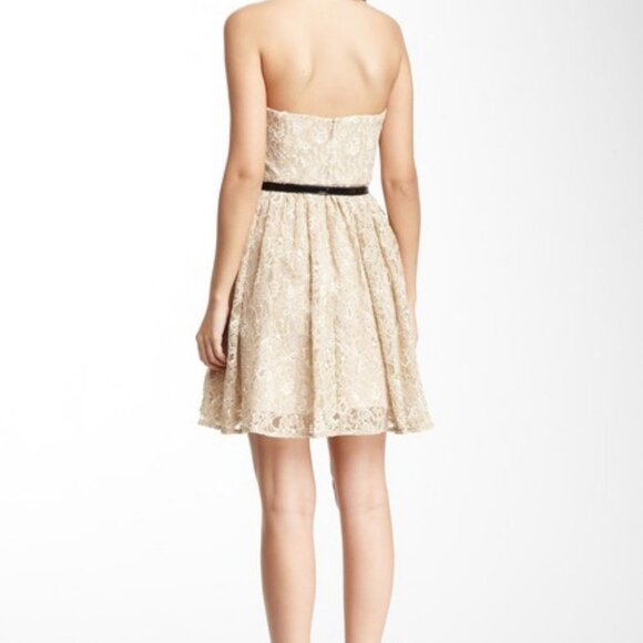 🩵MAX & CLEO Strapless Lace Dress Fit & Flare Bridal Shower Cocktail Neutral - Picture 2 of 12